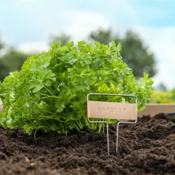 MES COURSES EN VRAC - Kit de poinçons pour étiquette de plantes