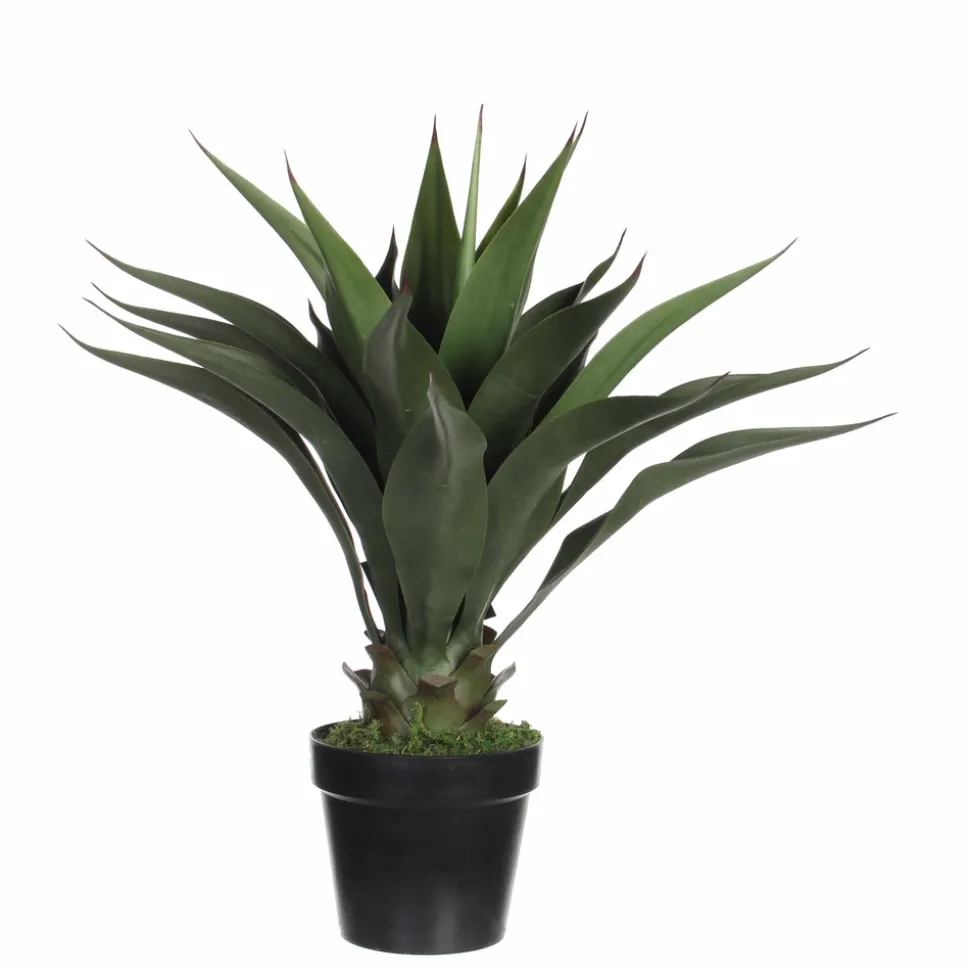 MICA - Agave artificiel, en pot H60cm