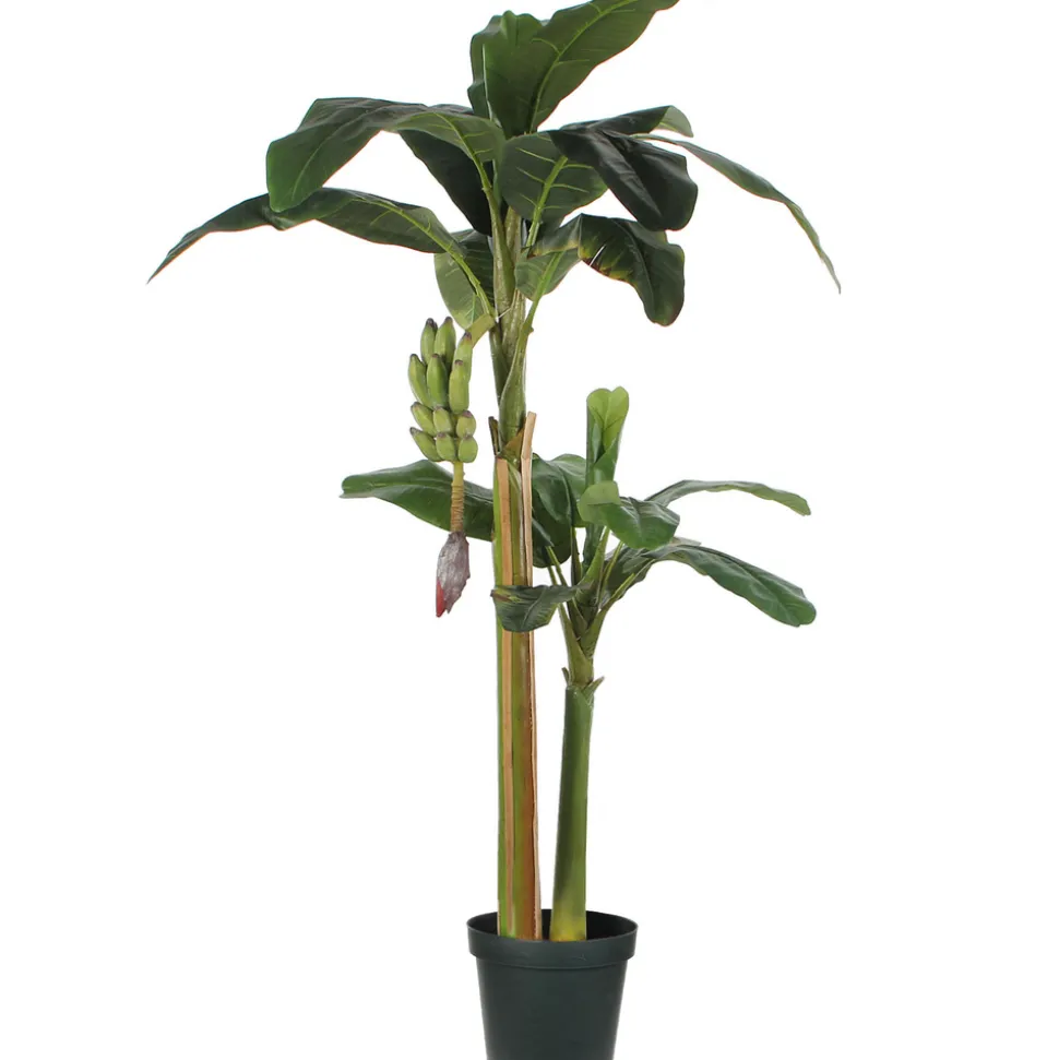MICA - Bananier en pot, vert Ø 115 x H. 180 cm