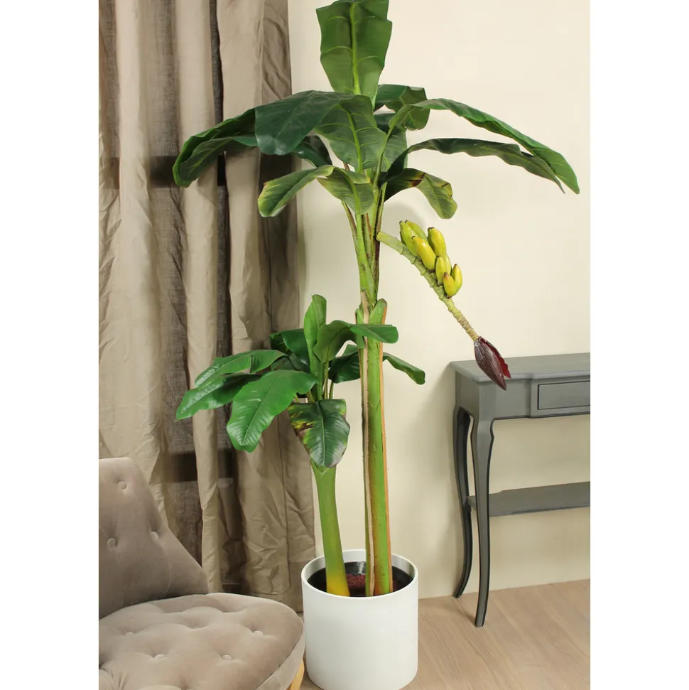 MICA - Bananier en pot, vert Ø 115 x H. 180 cm