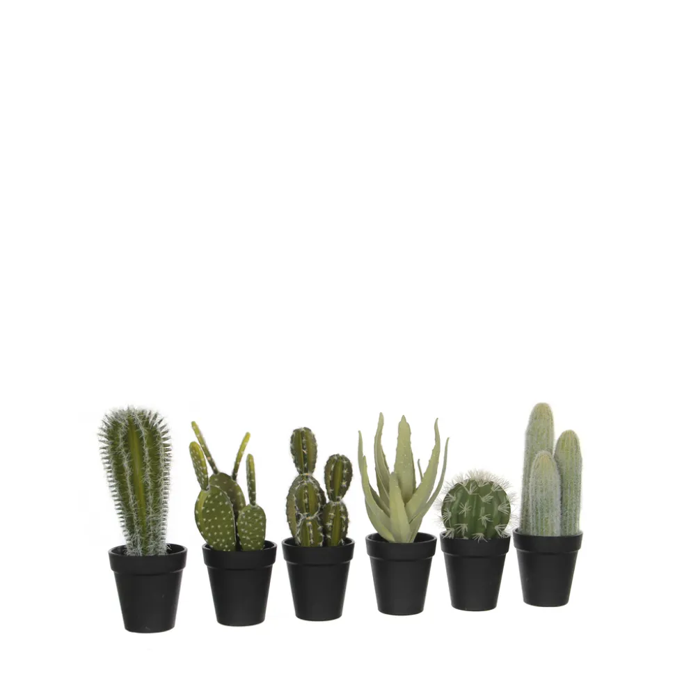 MICA - Cactus vert artificiel D12 x H.28 cm