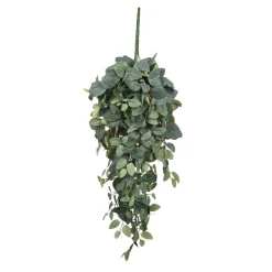 MICA - Chute de pilea, vert L. 70 x l. 30 x H. 20 cm