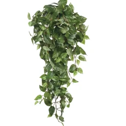 MICA - Chute de scindapsus, vert L. 80 x l. 30 x H. 15 cm