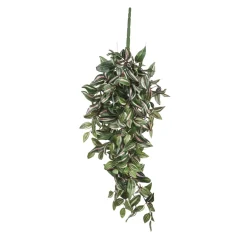 MICA - Chute de tradescantia, vert L. 80 x l. 30 x H. 15 cm