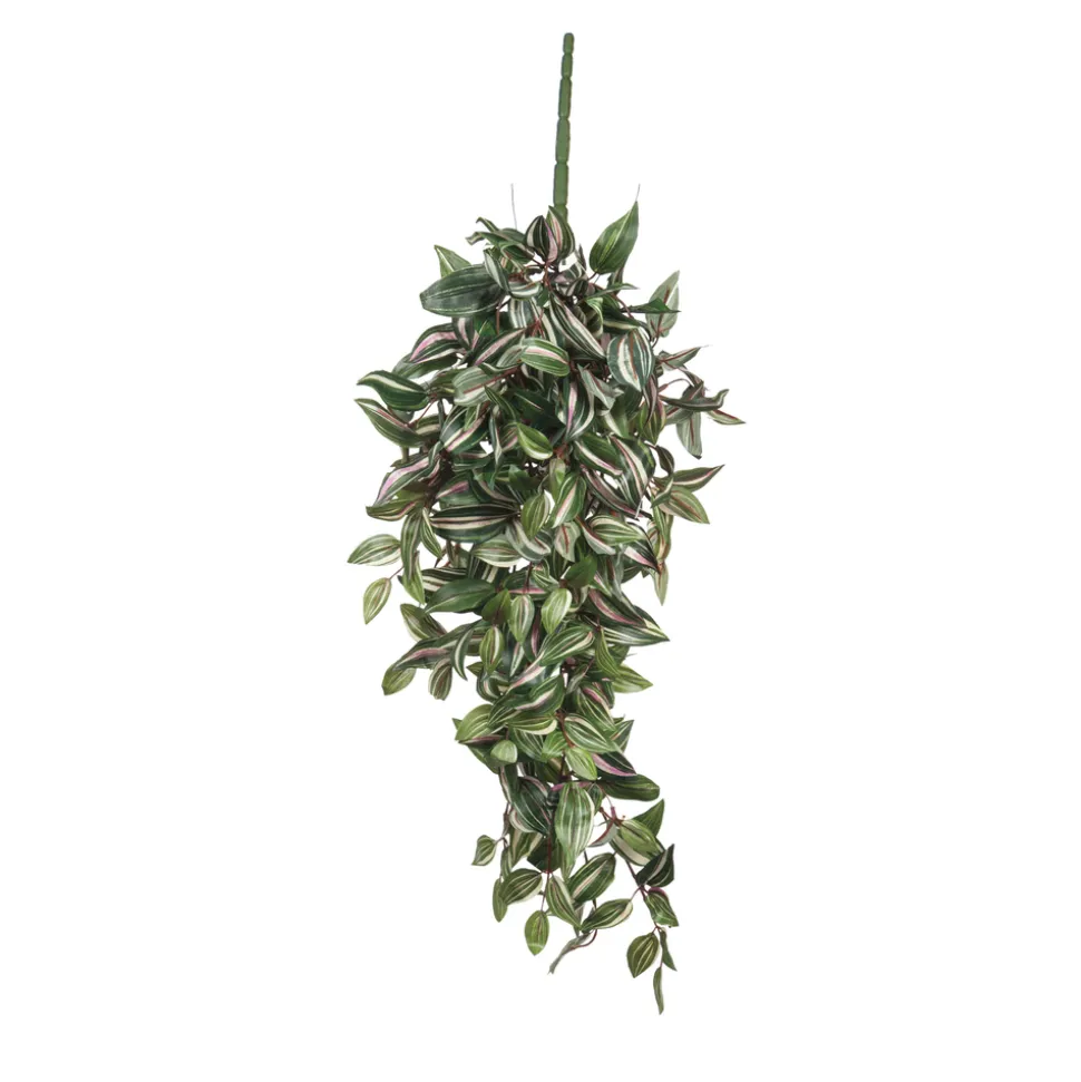 MICA - Chute de tradescantia, vert L. 80 x l. 30 x H. 15 cm
