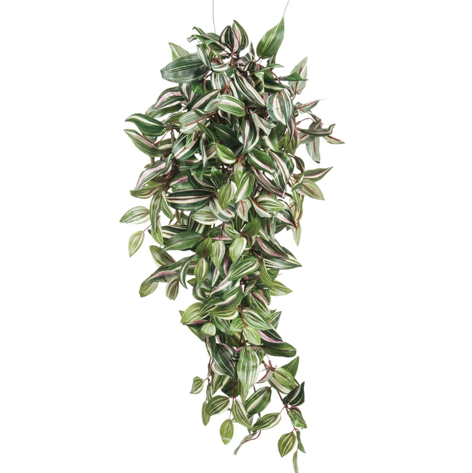 MICA - Chute de tradescantia, vert L. 80 x l. 30 x H. 15 cm