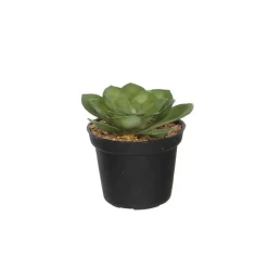 MICA - Crassulacae artificiel, en pot D7 x H.11 cm