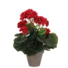 MICA - Geranium en pot Ø 11,5 cm, rouge Ø 23 x H. 32 cm
