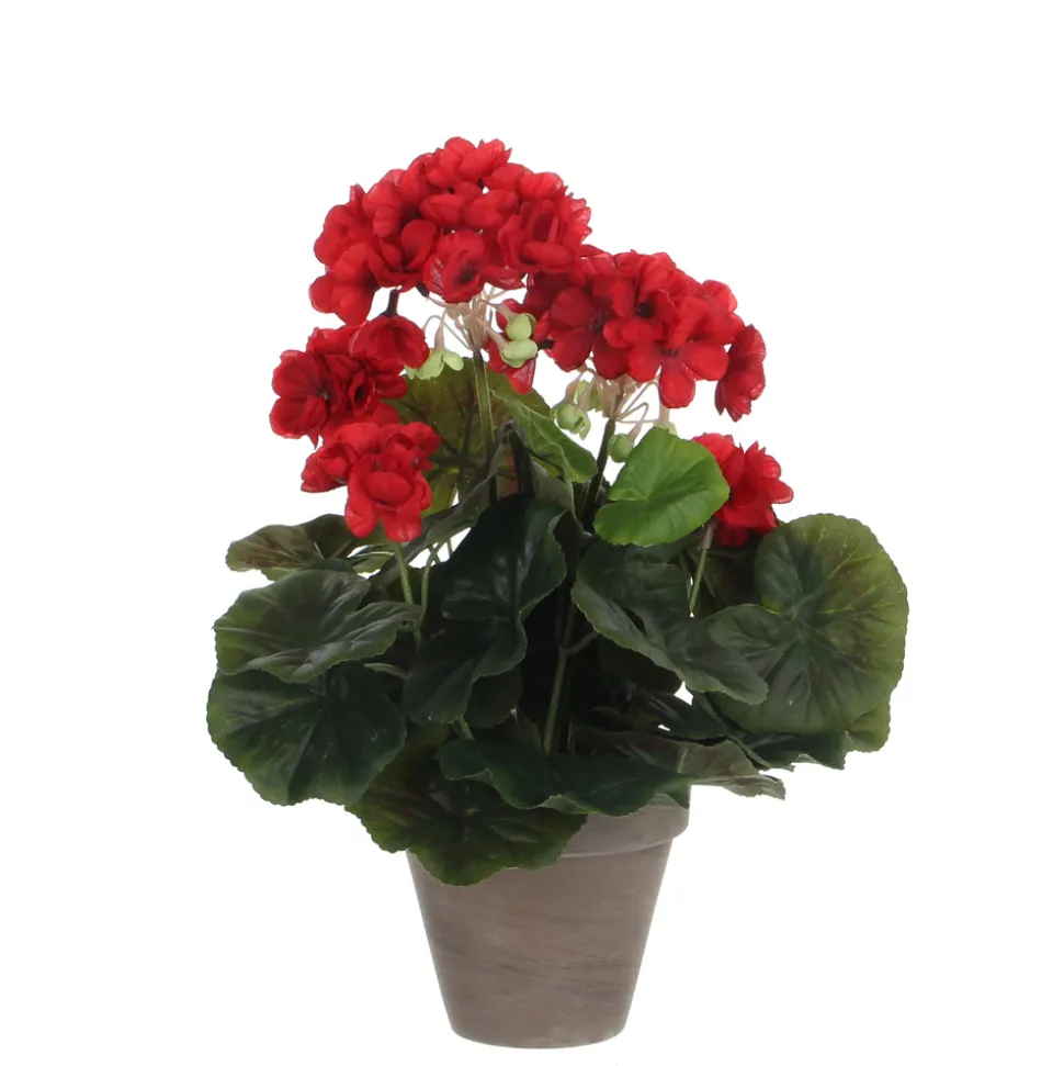 MICA - Geranium en pot Ø 11,5 cm, rouge Ø 23 x H. 32 cm