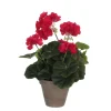 MICA - Geranium en pot Ø 11,5 cm, rose foncé Ø 23 x H. 32 cm