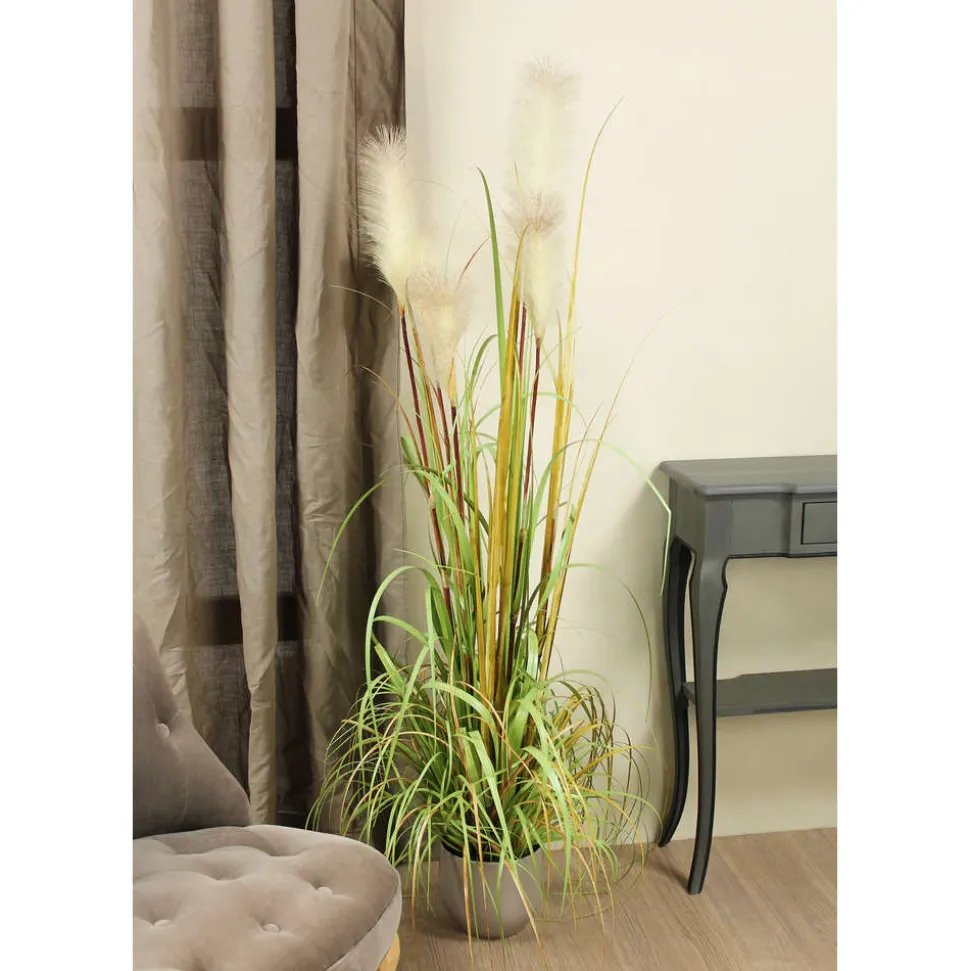 MICA - Herbe panache foxtail en pot, vert H. 150 cm