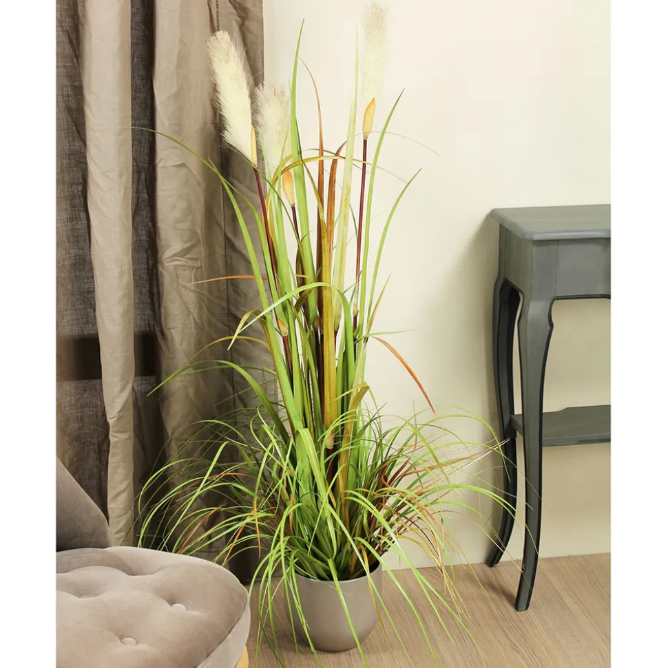 MICA - Herbe panache foxtail en pot, vert H. 120 cm