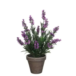 MICA - Lavande en pot basalte Ø 11,5 cm, violet Ø 20 x H. 33 cm