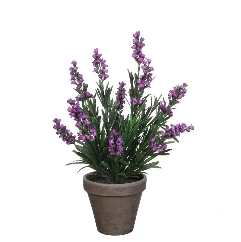 MICA - Lavande en pot basalte Ø 11,5 cm, violet Ø 20 x H. 33 cm