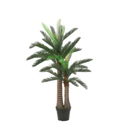 MICA - Palmier en pot H.150xD.100cm