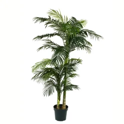 MICA - Palmier golden cane en pot, vert Ø 145 x H. 190 cm