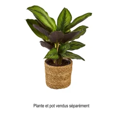 MICA - Panier Atlantic Marron H12xD12 cm