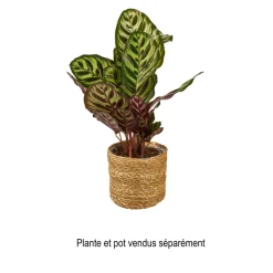 MICA - Panier Atlantic Marron H12xD12 cm