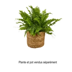 MICA - Panier Atlantic Marron H12xD12 cm