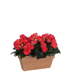 MICA - Plante artificielle : Jardinière Begonia rose 25x13x13 cm