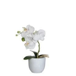 MICA - Plante artificielle : Pot phalaenopsis blanc H.26 cm