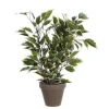 MICA - Plante artificielle : Pot Ficus Natasja blanc D.11 x H.40 cm