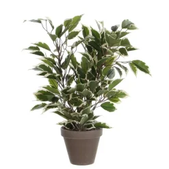 MICA - Plante artificielle : Pot Ficus Natasja blanc D.11 x H.40 cm