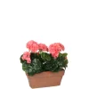 MICA - Plante artificielle : Jardinière géranium pêche 29x13x40 cm