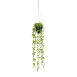 MICA - Plante artificielle : Suspension Eucalyptus en pot vert H.54 x D.9 cm