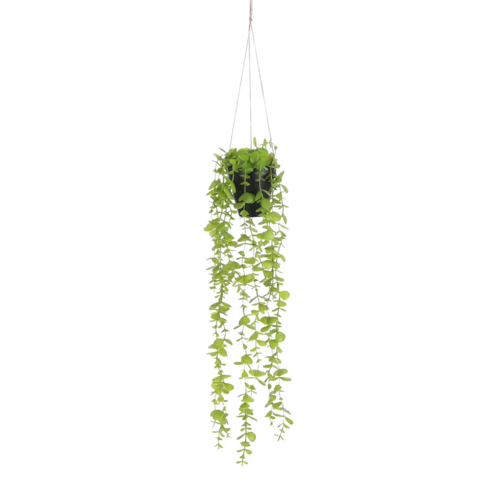 MICA - Plante artificielle : Suspension Eucalyptus en pot vert H.54 x D.9 cm