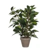 MICA - Plante artificielle : Pot Ficus Natasja D.11 x H.40 cm