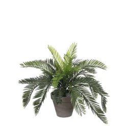MICA - Plante artificielle : Pot cycas D.13,5 x H.37 cm