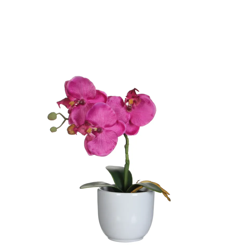 MICA - Plante artificielle : Pot phalaenopsis violet H.26 cm