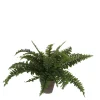 MICA - Plante artificielle : Pot Fougère D.13,5 x H.42 cm