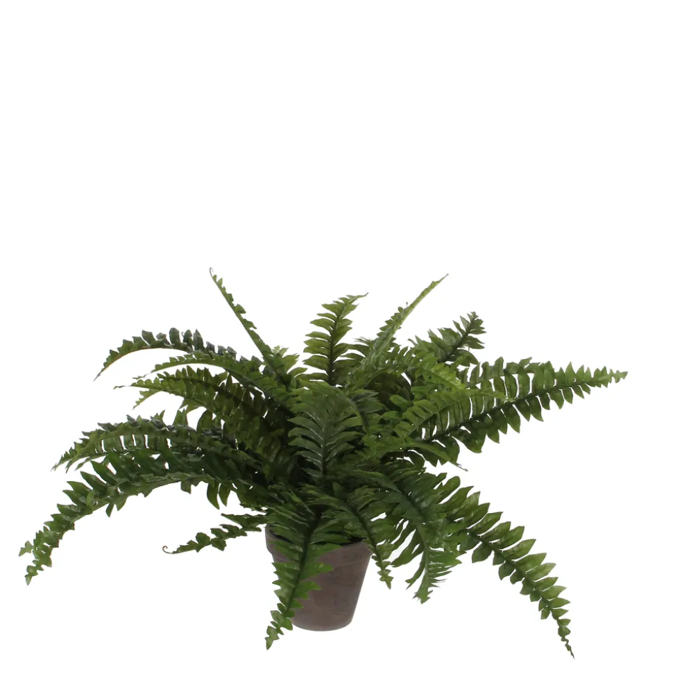 MICA - Plante artificielle : Pot Fougère D.13,5 x H.42 cm