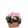 MICA - Plante artificielle : Jardinière géranium rose 29x13x40 cm