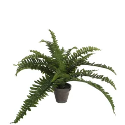 MICA - Plante artificielle : Pot Fougère D.11,5 x H.35 cm
