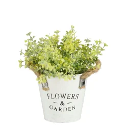 MICA - Plante artificielle coriandre, coloris vert - H.20xD.15cm