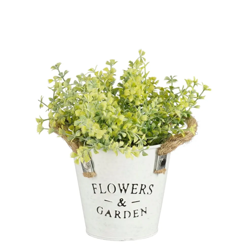 MICA - Plante artificielle coriandre, coloris vert - H.20xD.15cm