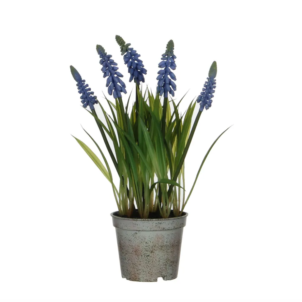 MICA - Plante artificielle muscari, coloris bleu - H.27xD.8,5cm