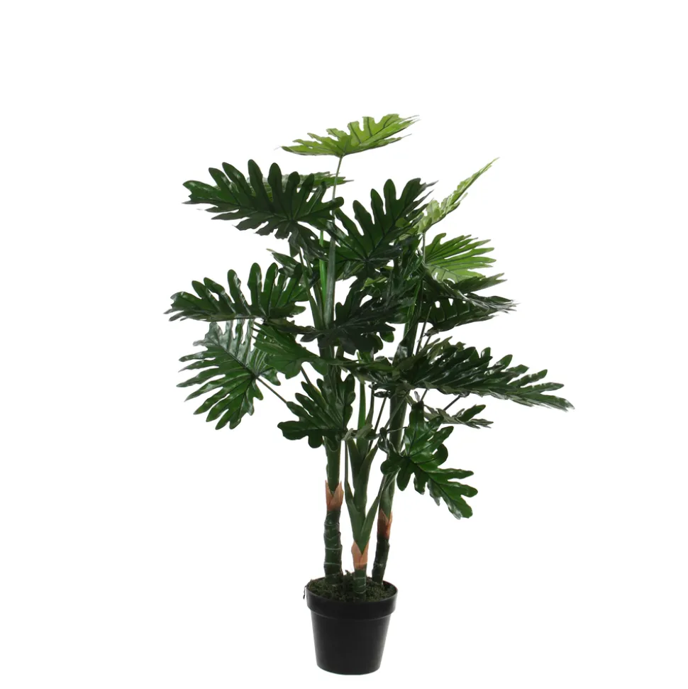 MICA - Plantes Philodendron en pot H.100xD.70cm
