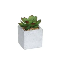 MICA - Succulente artificielle, en pot D5 x H.8 cm