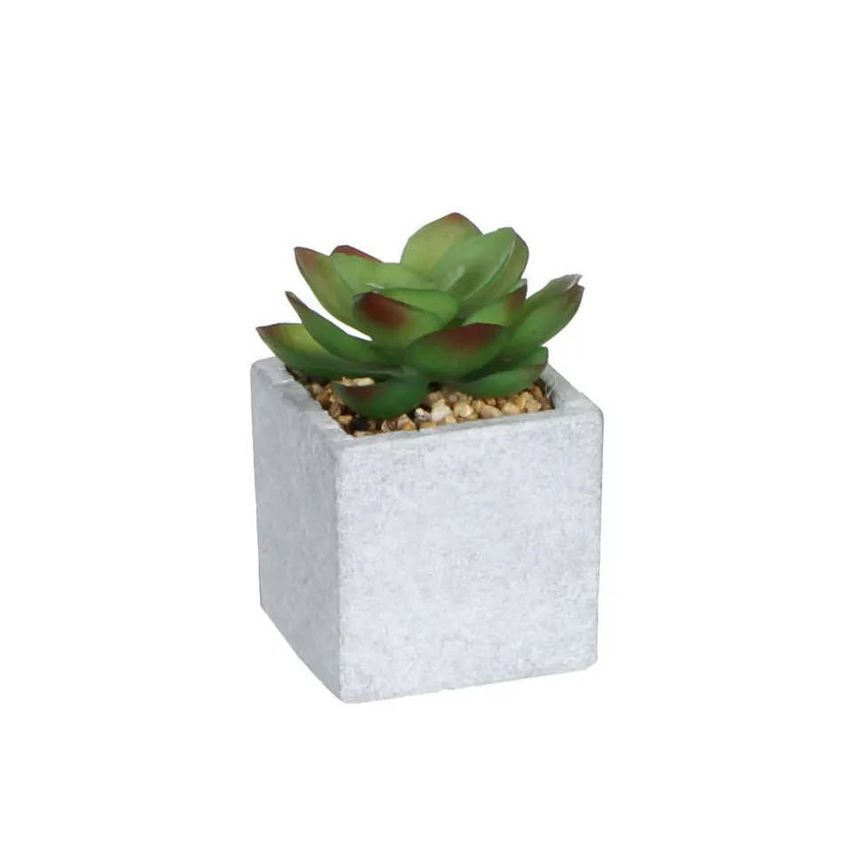 MICA - Succulente artificielle, en pot D5 x H.8 cm