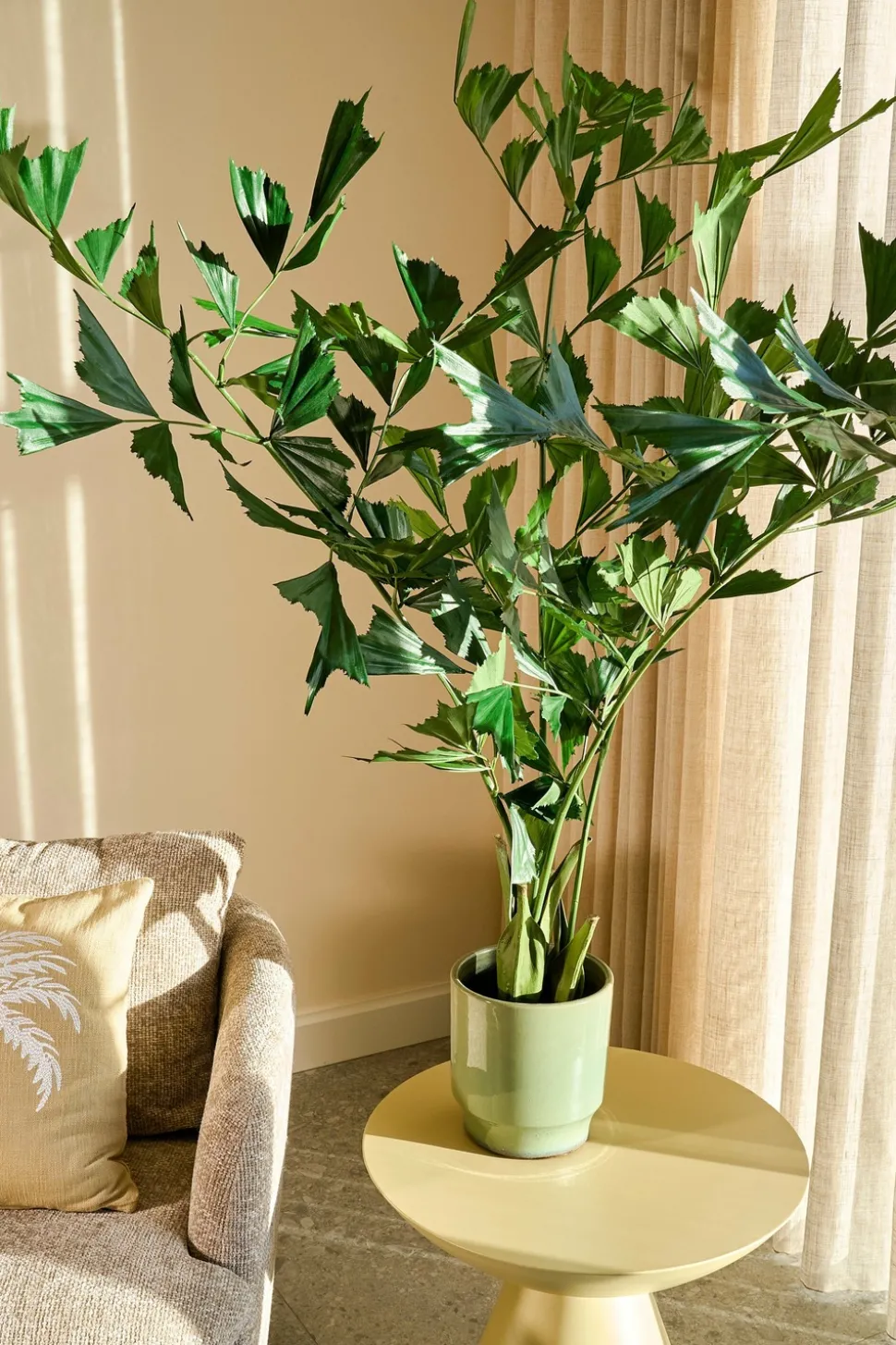 MICA DECORATIONS - Mica decorations - palmier queue-de-poisson plante artificielle vert h150