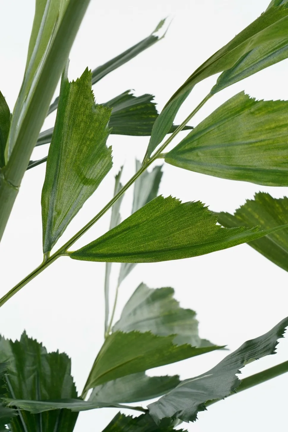 MICA DECORATIONS - Mica decorations - palmier queue-de-poisson plante artificielle vert h150