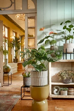 MICA DECORATIONS - Mica decorations - vase en verre vert clair h22,5