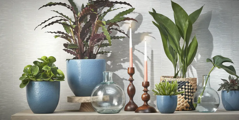 MICA DECORATIONS - Mica decorations - vase en verre recyclé h31