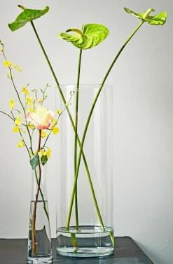 MICA DECORATIONS - Mica decorations - vase cylindre en verre h48