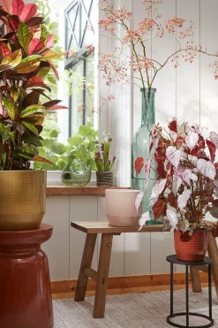 MICA DECORATIONS - Mica decorations - vase en verre vert clair h25