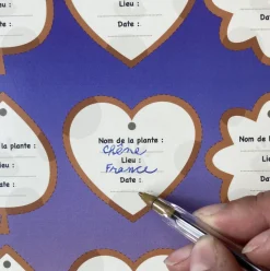 Mon kit herbier : je construis ma presse à fleurs et mon herbier